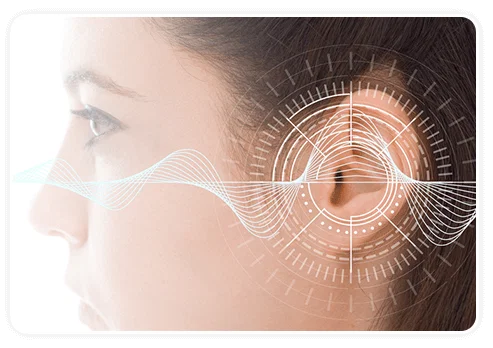 Inner ear diagram showing how Tinnoril supports circulation and auditory nerve function
